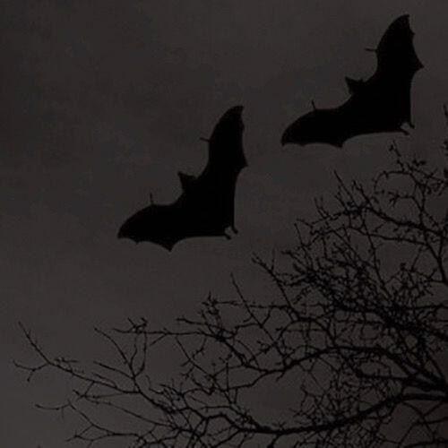 Vampire: The Masquerade: Some homebrew content.